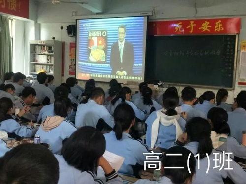 社会热点事件素材,XX事件背后的深思与启示