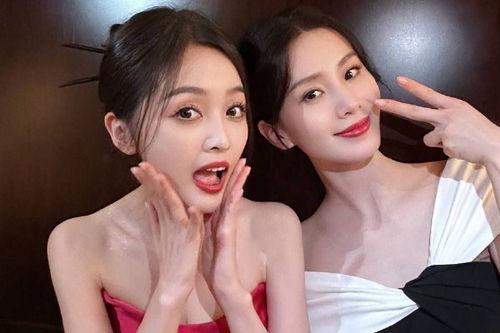 明星小说 52爆料吃瓜网 不打烊,明星小说夜市不打烊，揭秘娱乐圈幕后风云