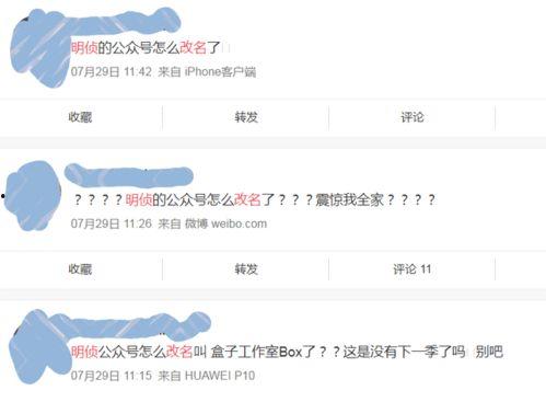 网红大瓜文件docx 明星大侦探,明星大侦探背后的故事与真相